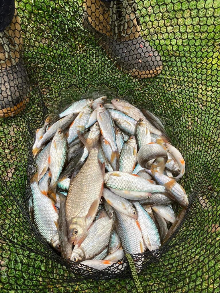 Northmoor Fisheries