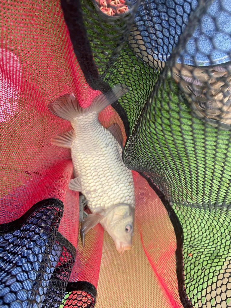 Northmoor Fisheries