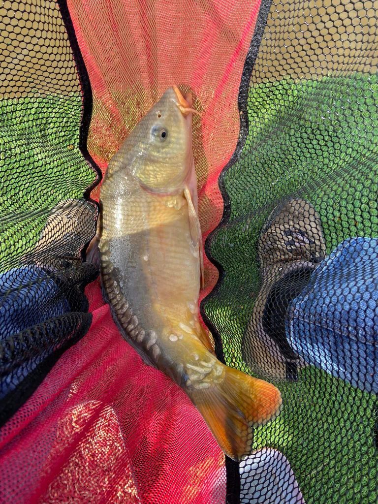 Northmoor Fisheries