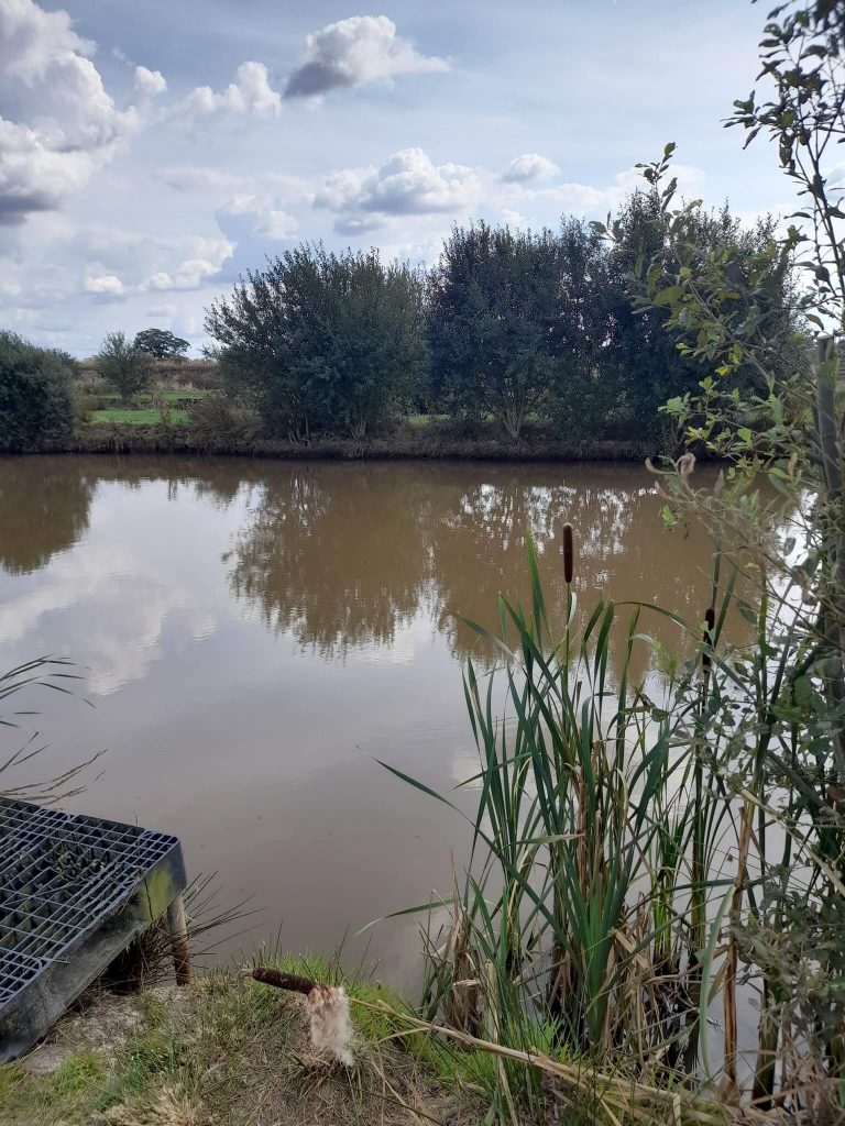 Northmoor Fisheries