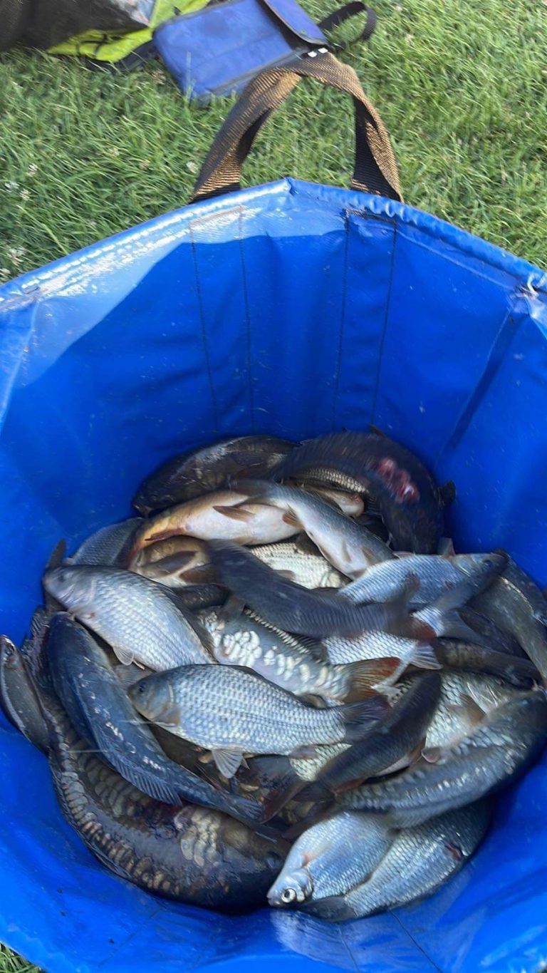 Northmoor Fisheries